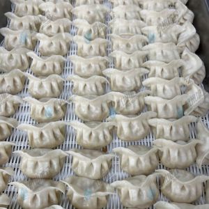 JGB-10型一體式餃子機現(xiàn)場試機，效果棒棒噠！！！！